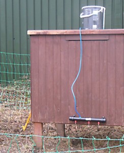 Automatic Chicken Drinker with gravity feed just from a bucket